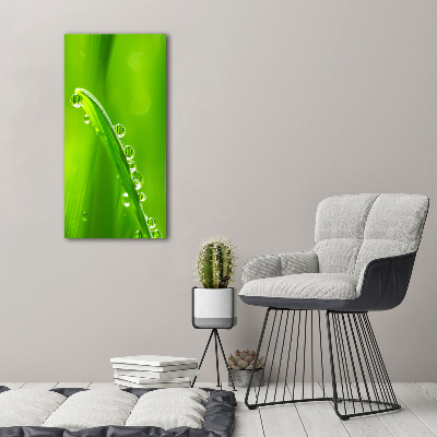 Canvas wall art Blade of grass