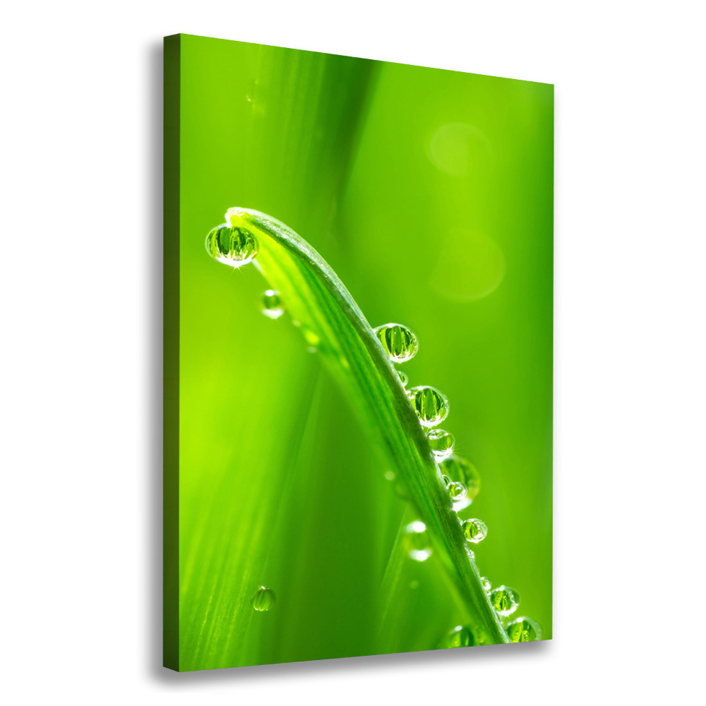 Canvas wall art Blade of grass