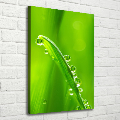 Canvas wall art Blade of grass