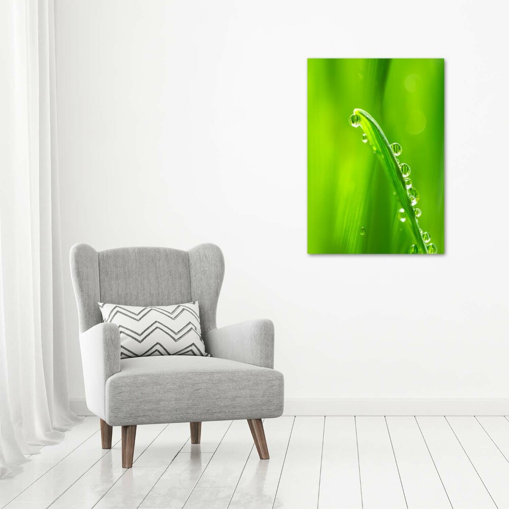 Canvas wall art Blade of grass