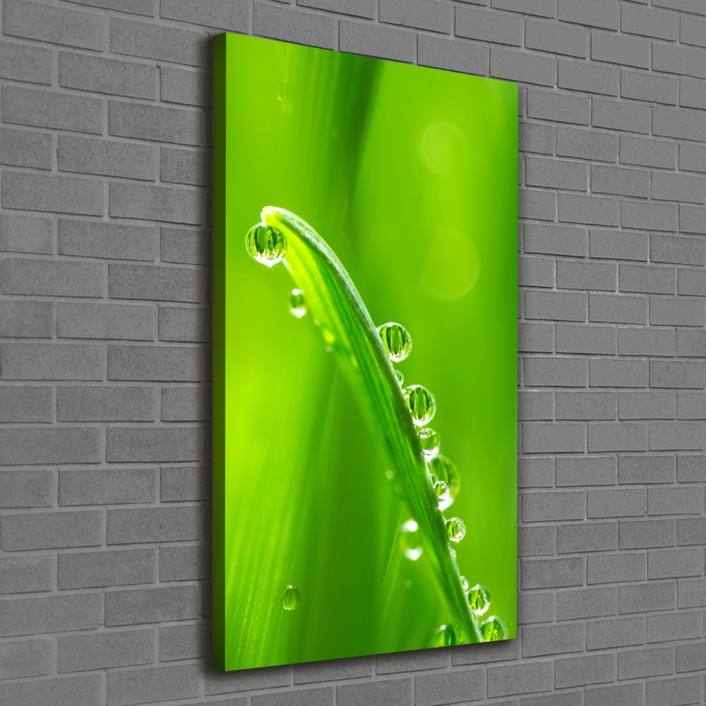 Canvas wall art Blade of grass