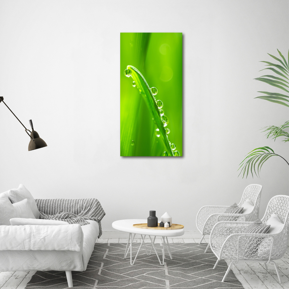 Canvas wall art Blade of grass