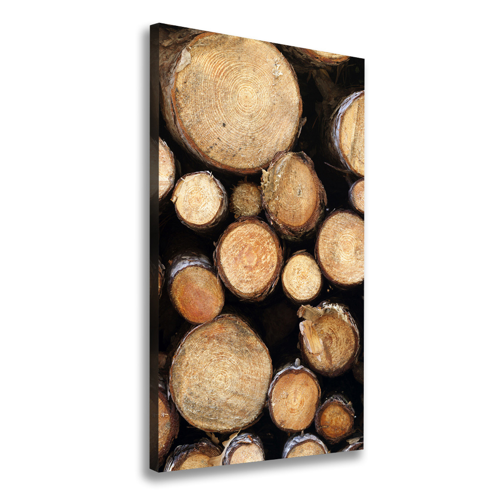 Large canvas wall art Logs