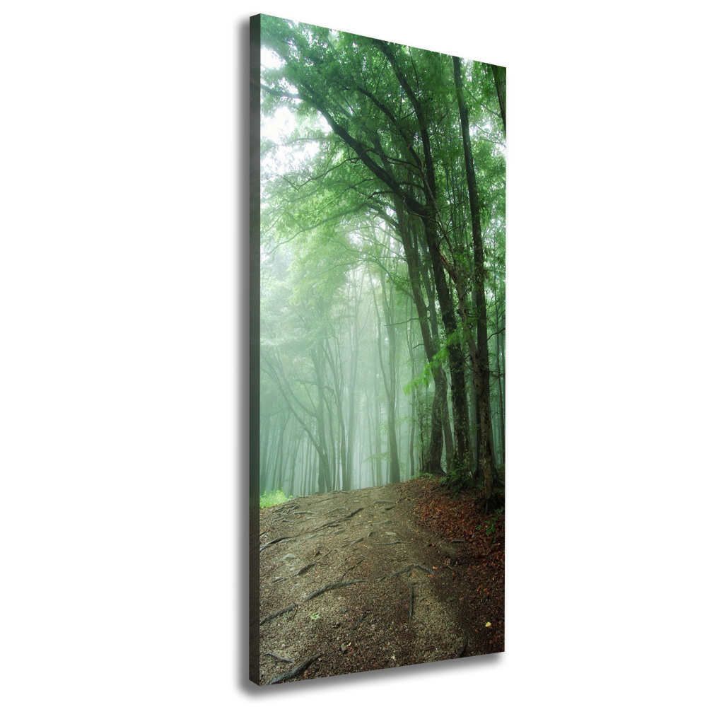 Canvas wall art Fog in the forest