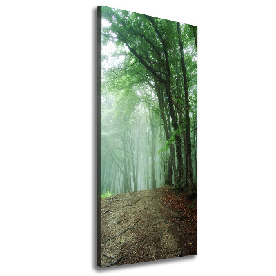 Canvas wall art Fog in the forest