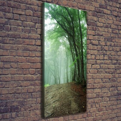 Canvas wall art Fog in the forest