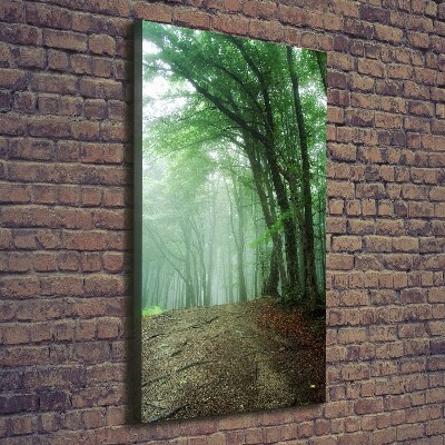 Canvas wall art Fog in the forest