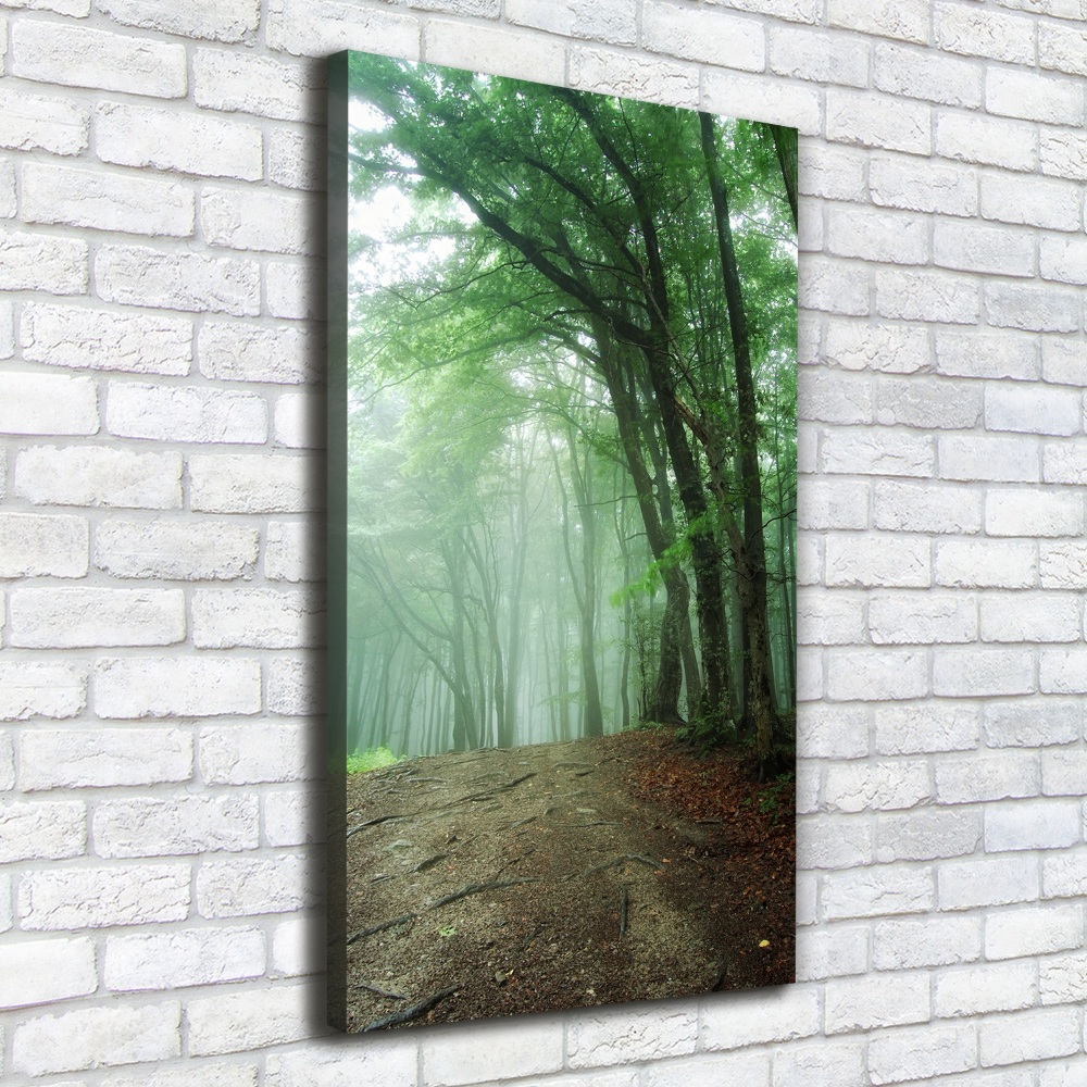 Canvas wall art Fog in the forest