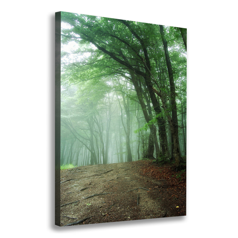 Canvas wall art Fog in the forest