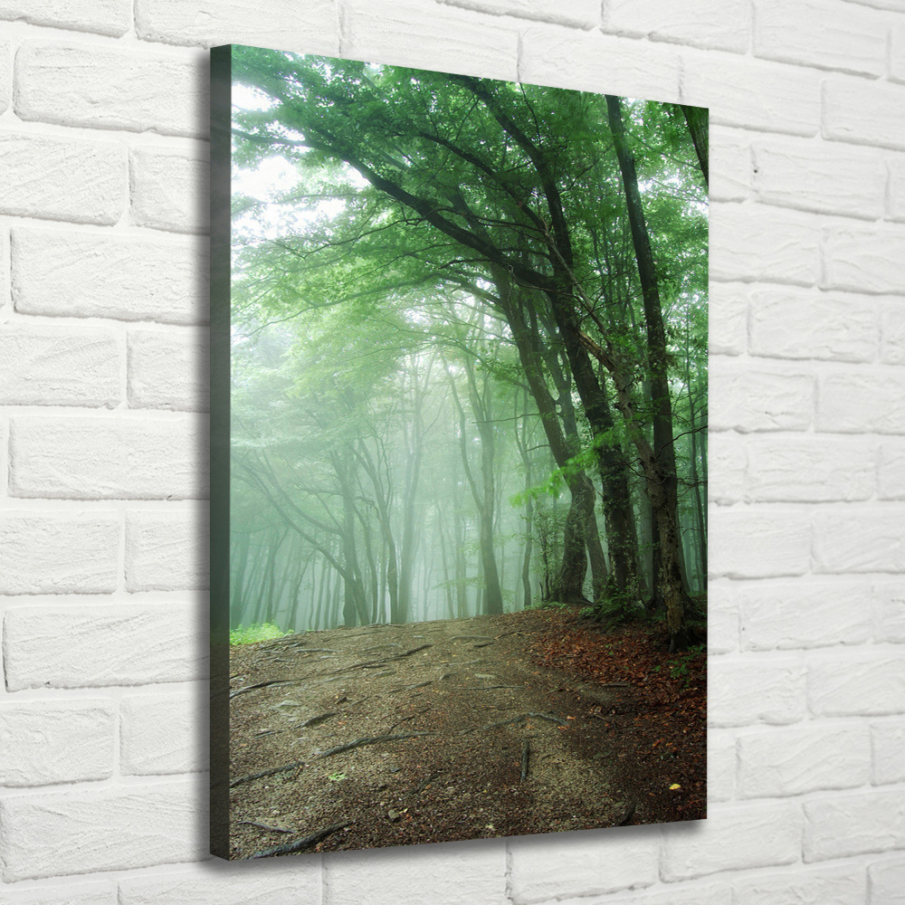 Canvas wall art Fog in the forest