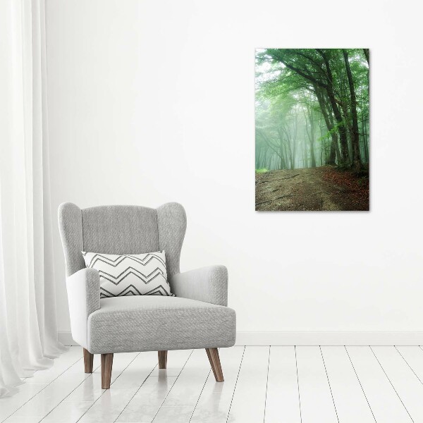 Canvas wall art Fog in the forest