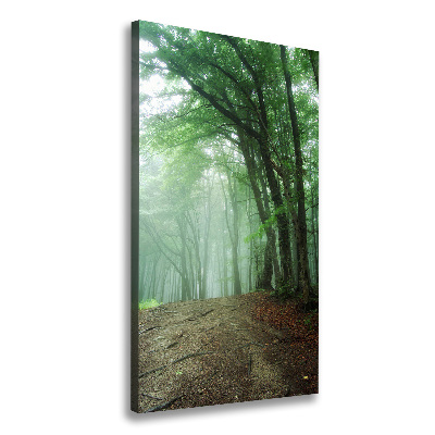 Canvas wall art Fog in the forest