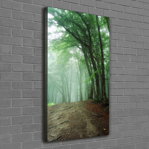 Canvas wall art Fog in the forest