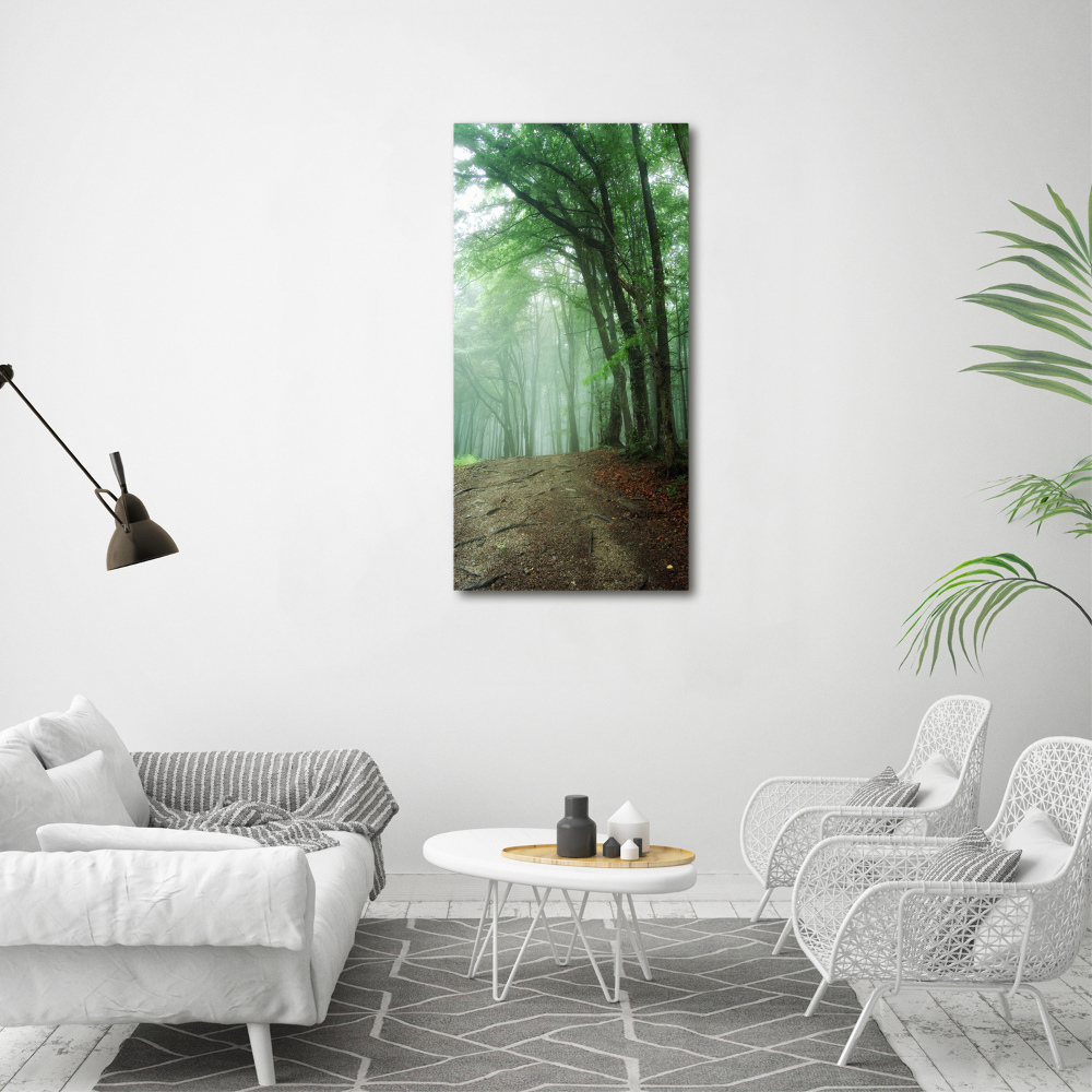 Canvas wall art Fog in the forest