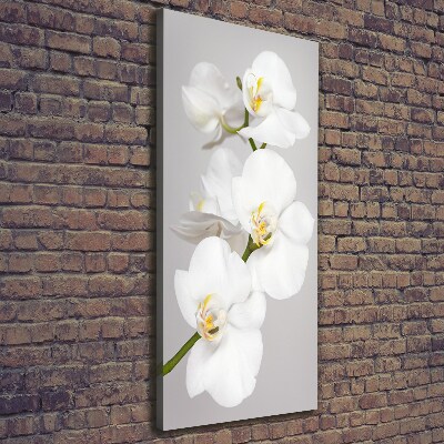 Large canvas wall art White orchid