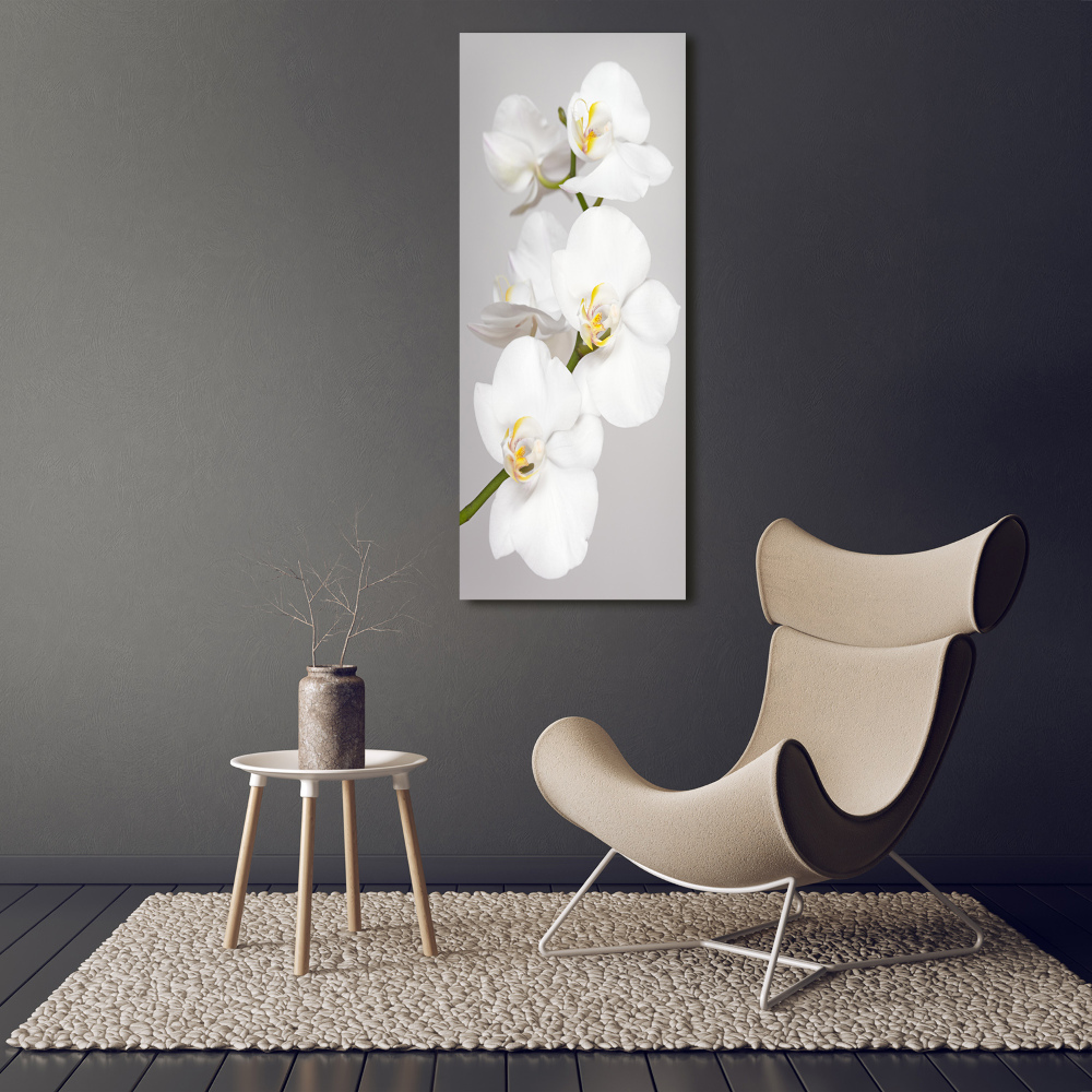 Large canvas wall art White orchid