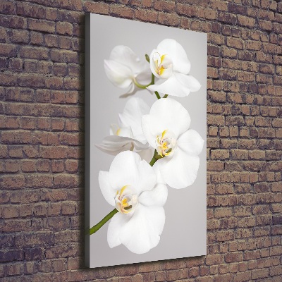 Large canvas wall art White orchid