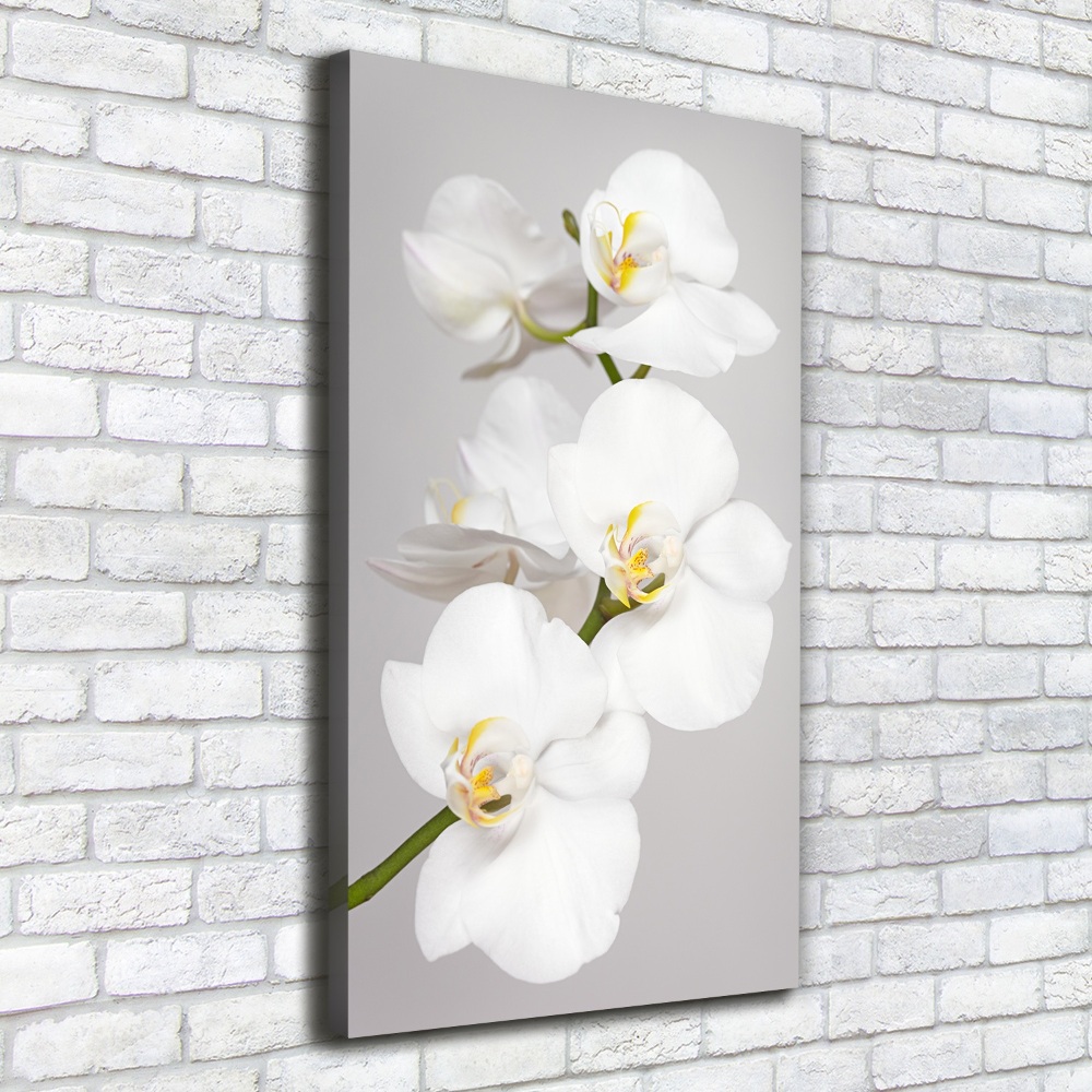 Large canvas wall art White orchid