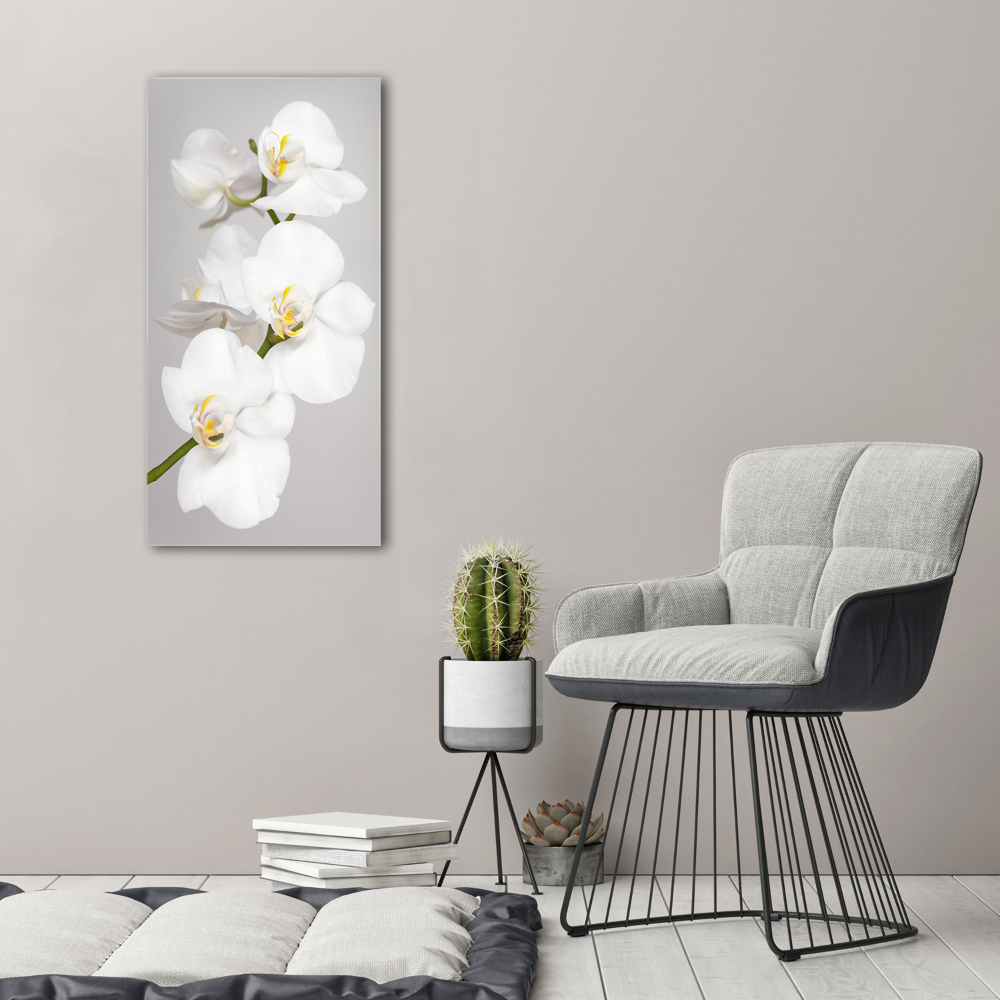 Large canvas wall art White orchid