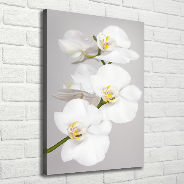 Large canvas wall art White orchid