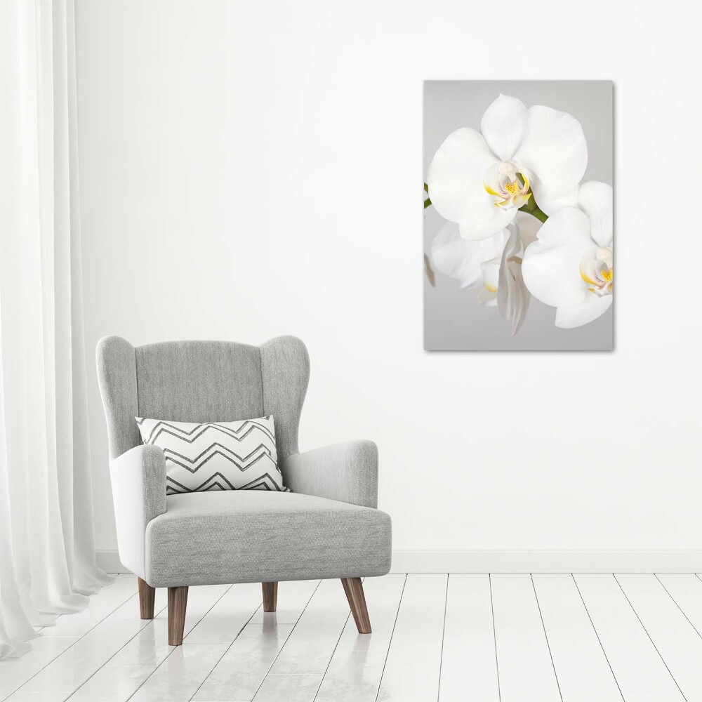 Large canvas wall art White orchid