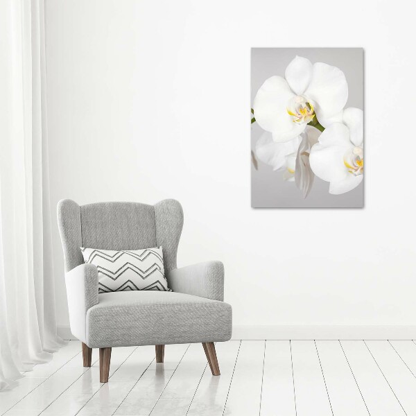 Large canvas wall art White orchid