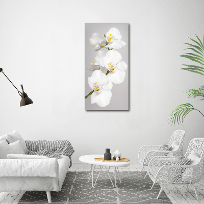 Large canvas wall art White orchid