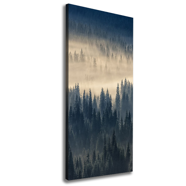 Canvas wall art Fog over the forest