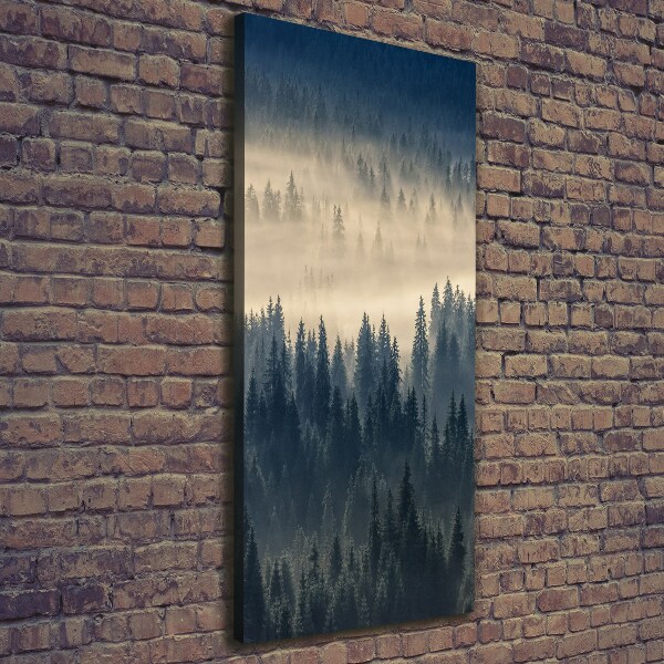 Canvas wall art Fog over the forest