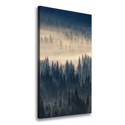 Canvas wall art Fog over the forest