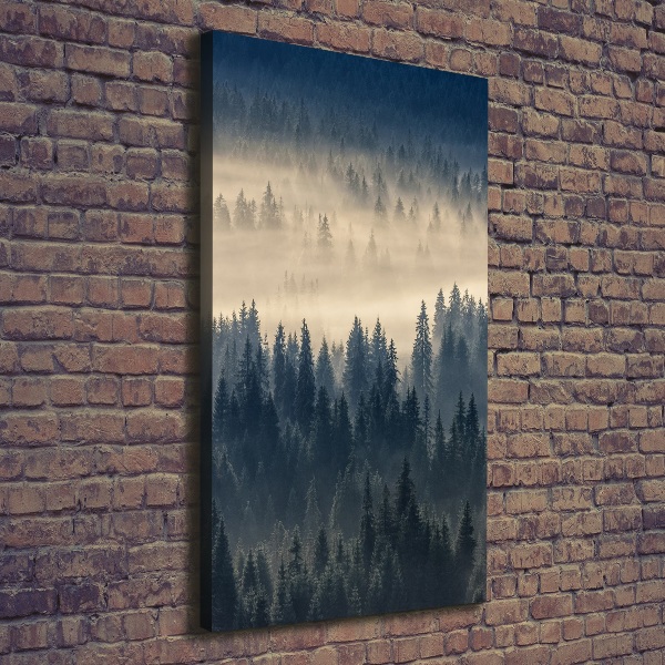 Canvas wall art Fog over the forest