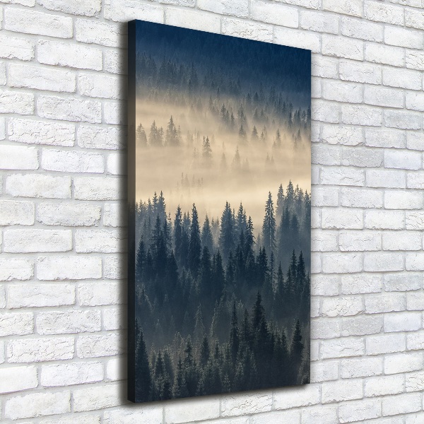 Canvas wall art Fog over the forest