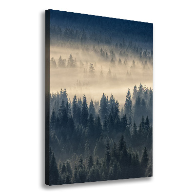 Canvas wall art Fog over the forest