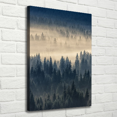 Canvas wall art Fog over the forest