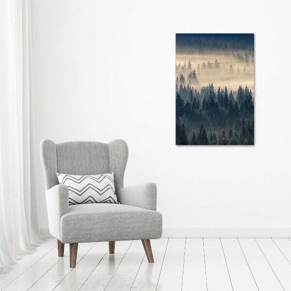 Canvas wall art Fog over the forest