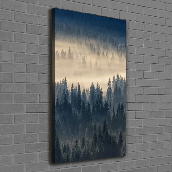 Canvas wall art Fog over the forest