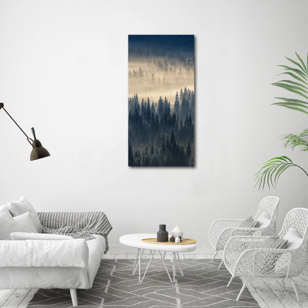 Canvas wall art Fog over the forest