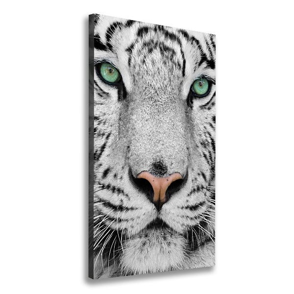 Wall art canvas large White Tiger