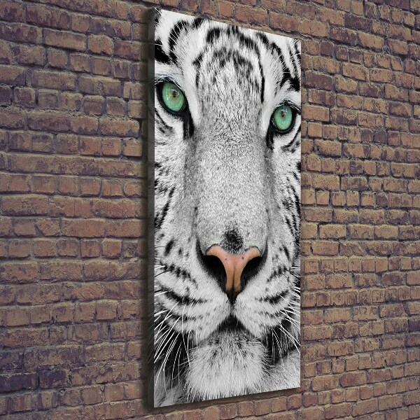 Wall art canvas large White Tiger