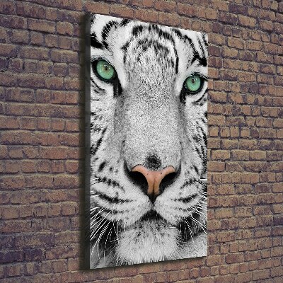 Wall art canvas large White Tiger