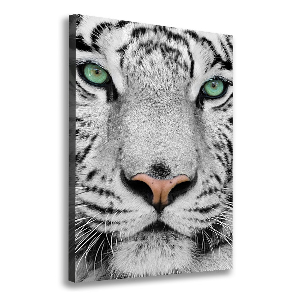 Wall art canvas large White Tiger