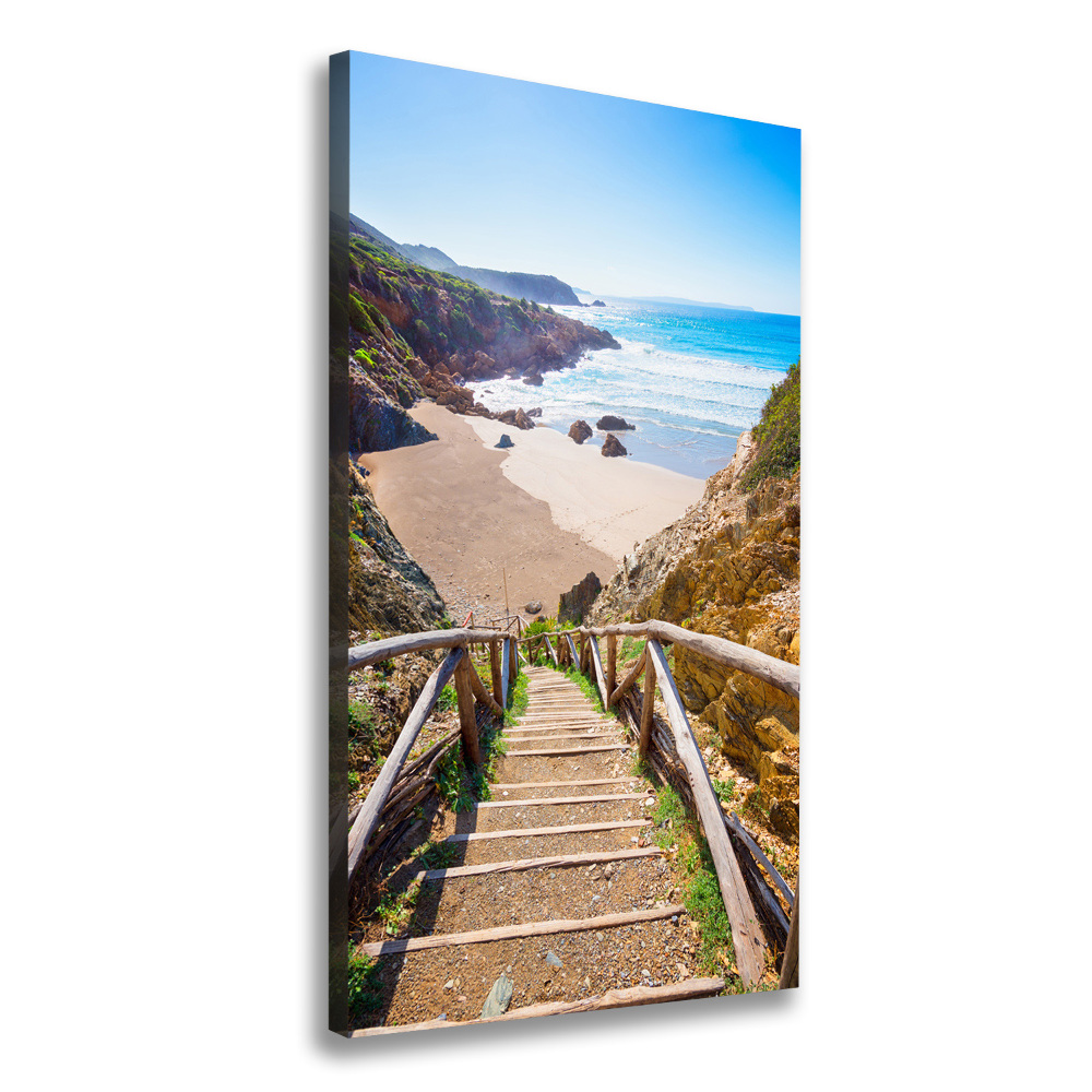 Canvas wall art Path to the beach