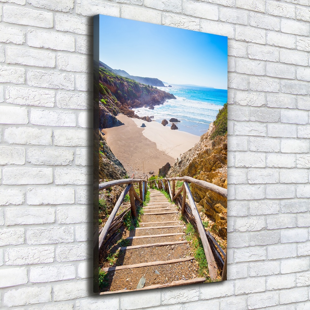 Canvas wall art Path to the beach