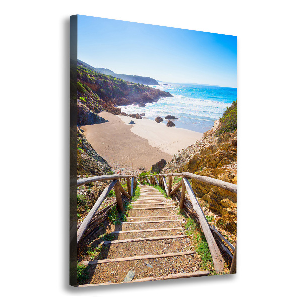 Canvas wall art Path to the beach