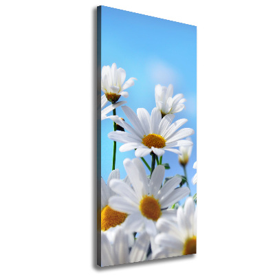 Large canvas wall art Daisy