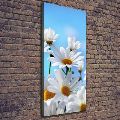 Large canvas wall art Daisy