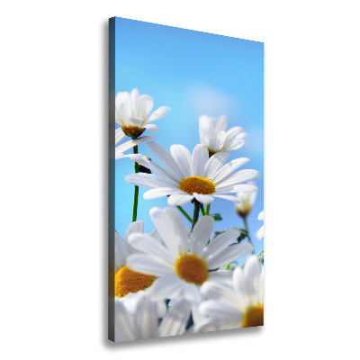 Large canvas wall art Daisy