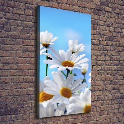 Large canvas wall art Daisy