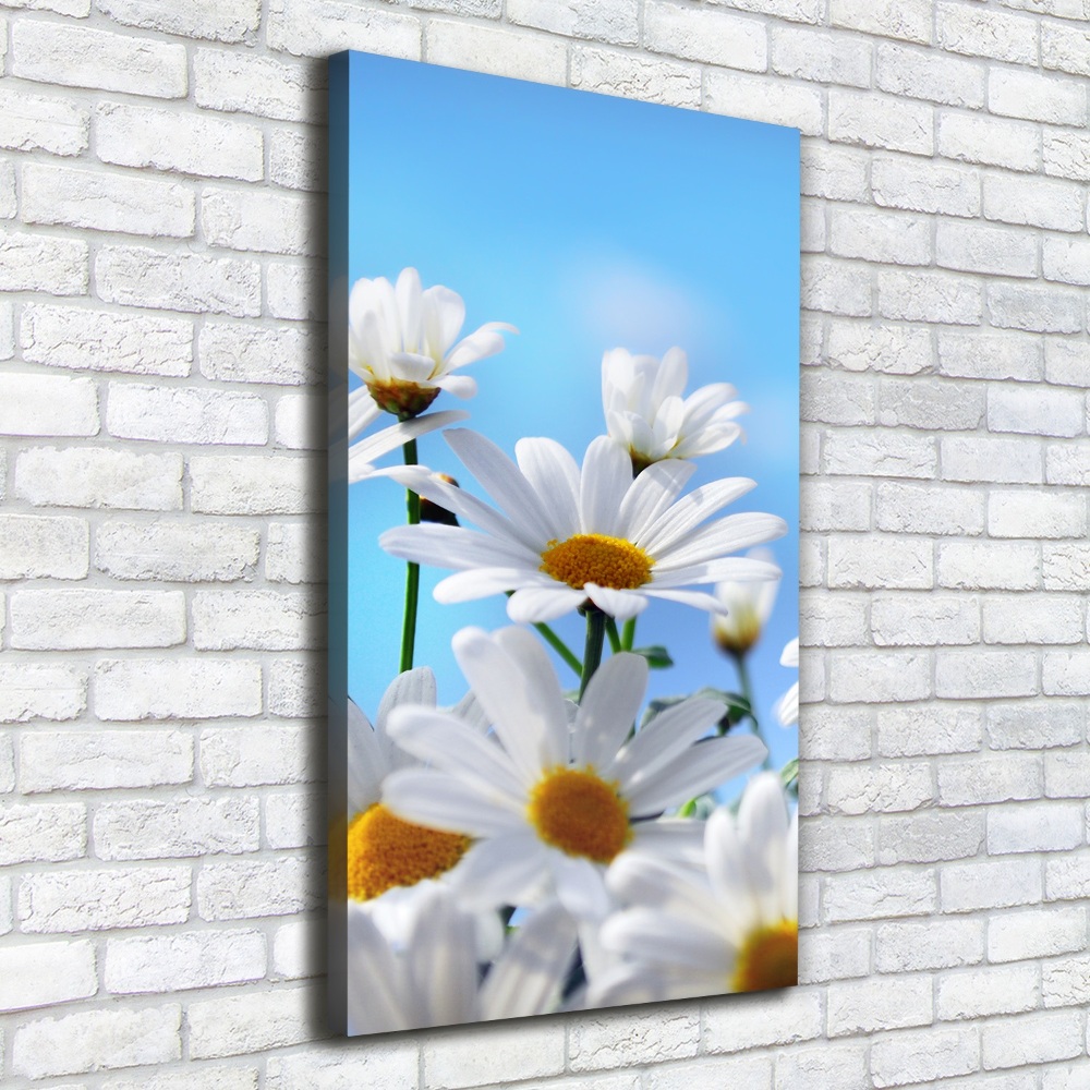 Large canvas wall art Daisy