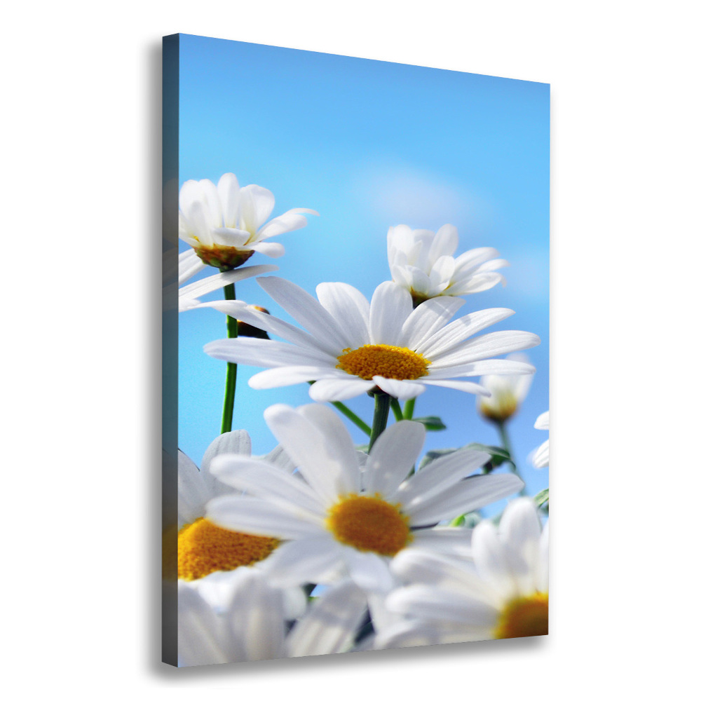 Large canvas wall art Daisy